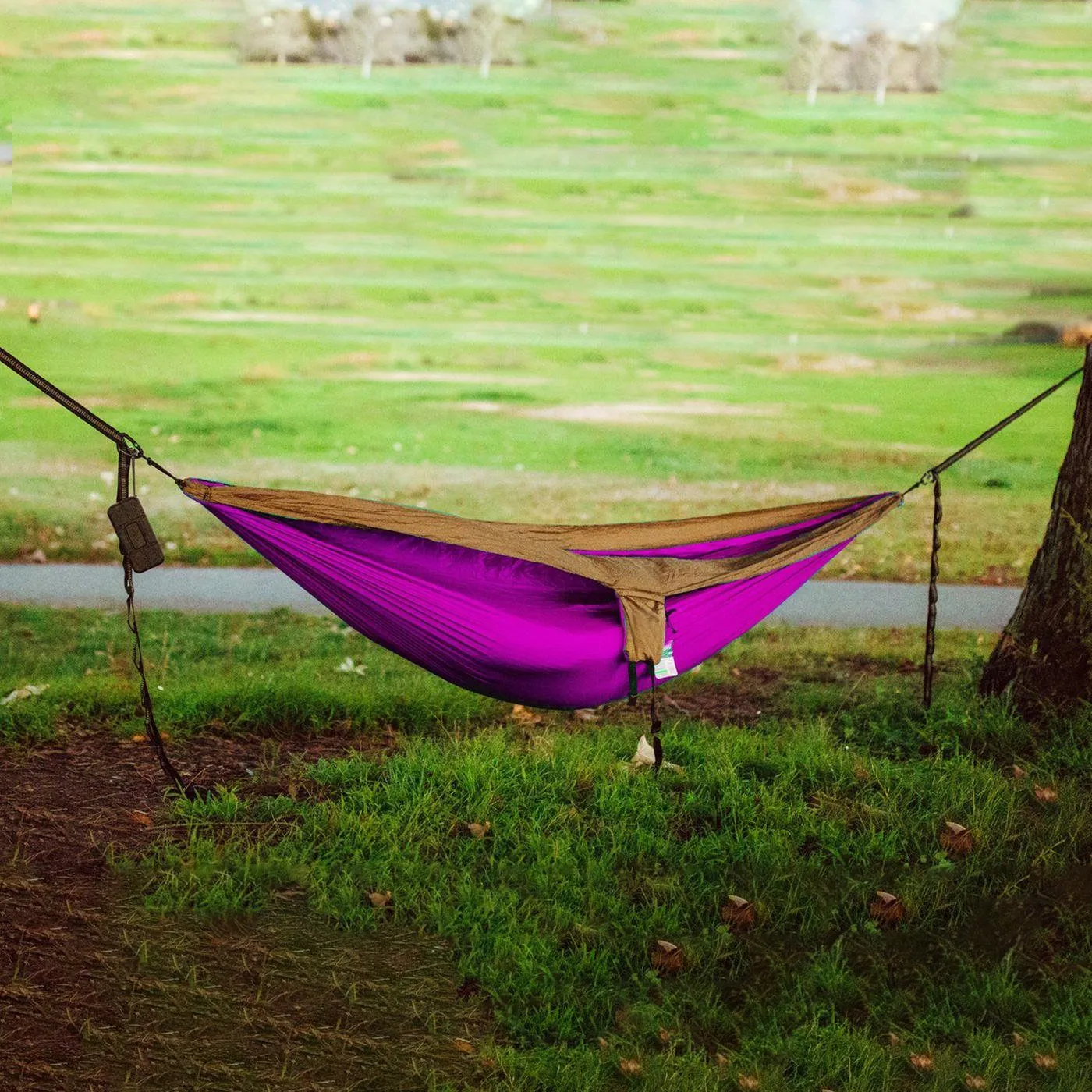 2-Person Multi-Season and Multi-Purpose Nylon Hammock