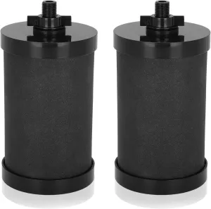 2387 Pro Filter Compatible with Alexapure Water Filter System, Black for Alexapure 2387 Pro Filter Replacement (2 Pack)