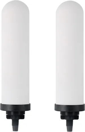 7" Ceramic Filter, Replacement Filters for ProOne® G2.0 Filters, ProOne® Big  or Big II Countertop Gravity Water Filter System and FACHIOO King Tank Series(Pack of 2)