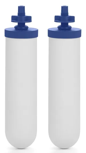 7" Ceramic Fluoride and Arsenic Reduction Elements, Replacement for Berkey® BB9-2® Black Filters & PF-2® Fluoride Filters, ProOne® G2.0 Filters, Berkey® Gravity Water Filter System, Pack of 2
