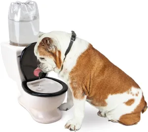 BigMouth Inc The Toilet Water Dish for Pets, Ceramic, Holds 2L Bottle, Funny Bowl for Dogs and Cats