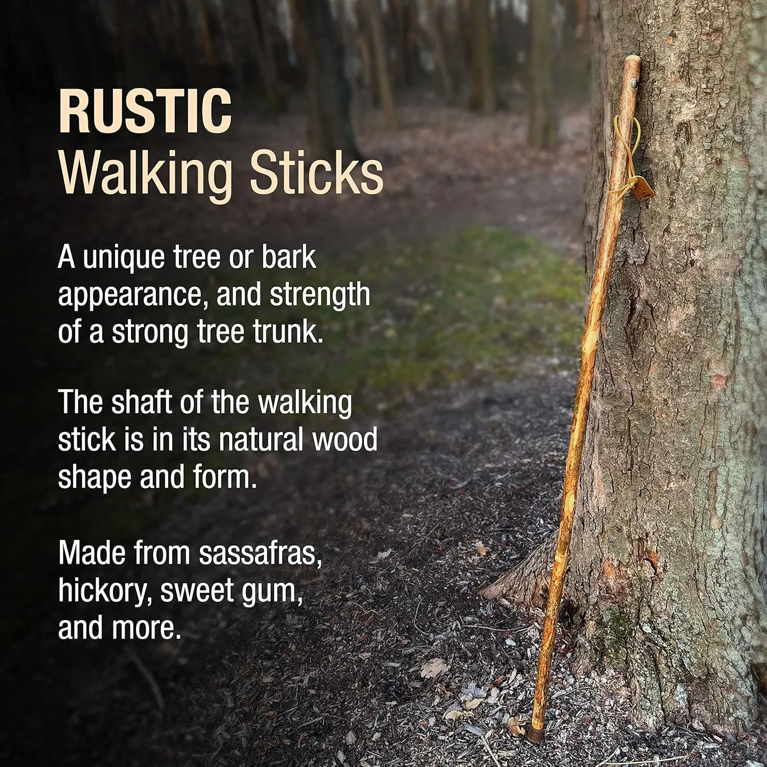 Brazos Rustic Wood Walking Stick, Hardwood, Traditional Style Handle, for Men & Women, Made in The USA, 41" (Pack of 3)