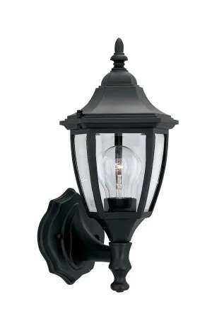 Builder Cast Aluminum One Light Wall Lantern in Black