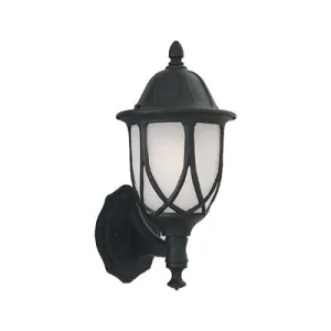 Capella One Light Wall Lantern in Black