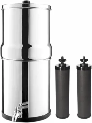 Denali Springs -1.6G (6 Liters)- Stainless Steel Gravity-Fed Water Filtration System with 2 Black Filters and SS Tap
