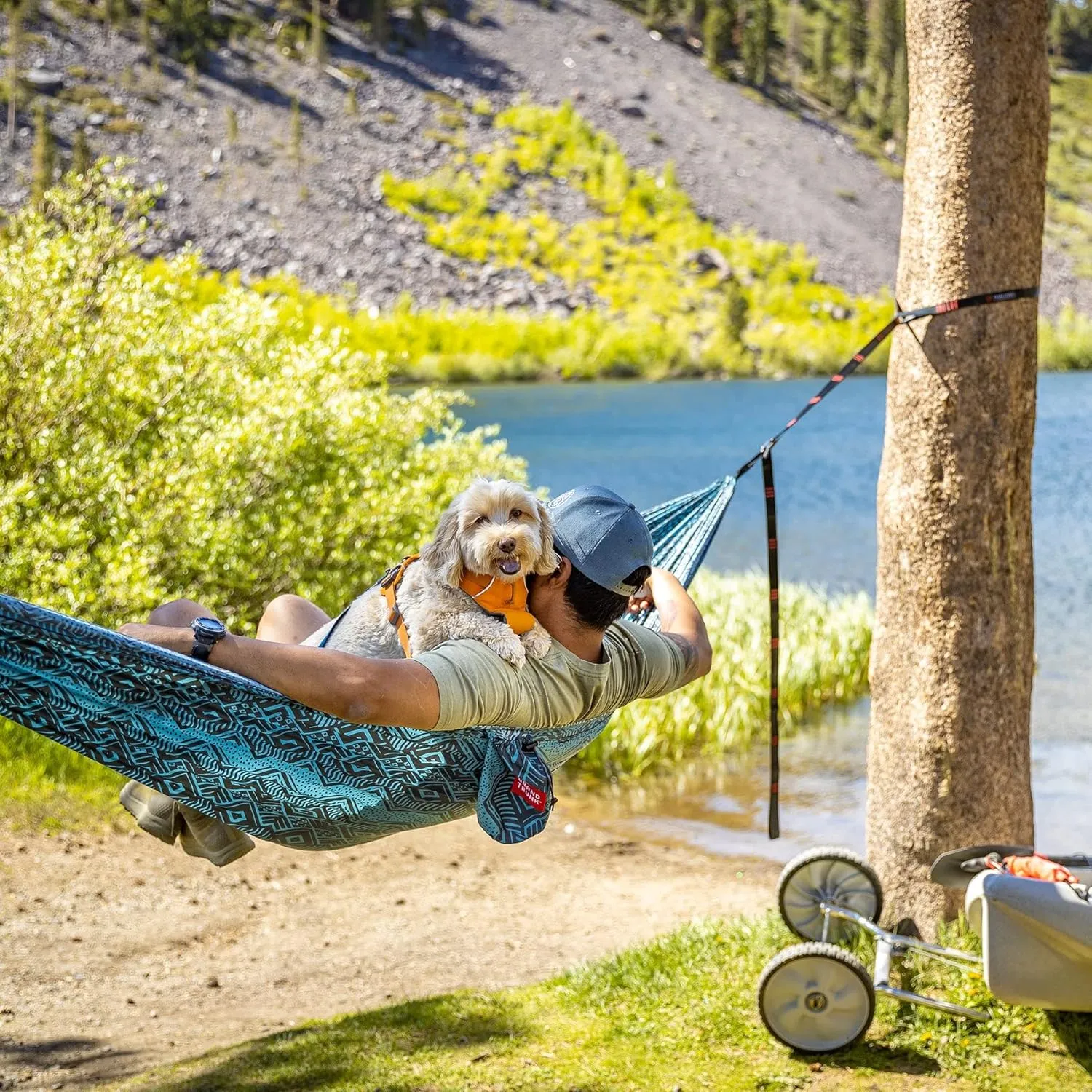 Grand Trunk TrunkTech Double Hammock | Portable Camping Hammock | Accessories for Outdoor, Indoor, Hiking Camping, Backpacking, Travel, Backyard, Beach (Cacti)