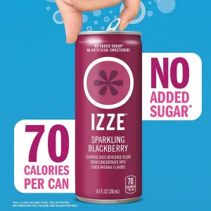 IZE Blackberry Sparkling Juice - 6pk/8.4 fl oz Cans