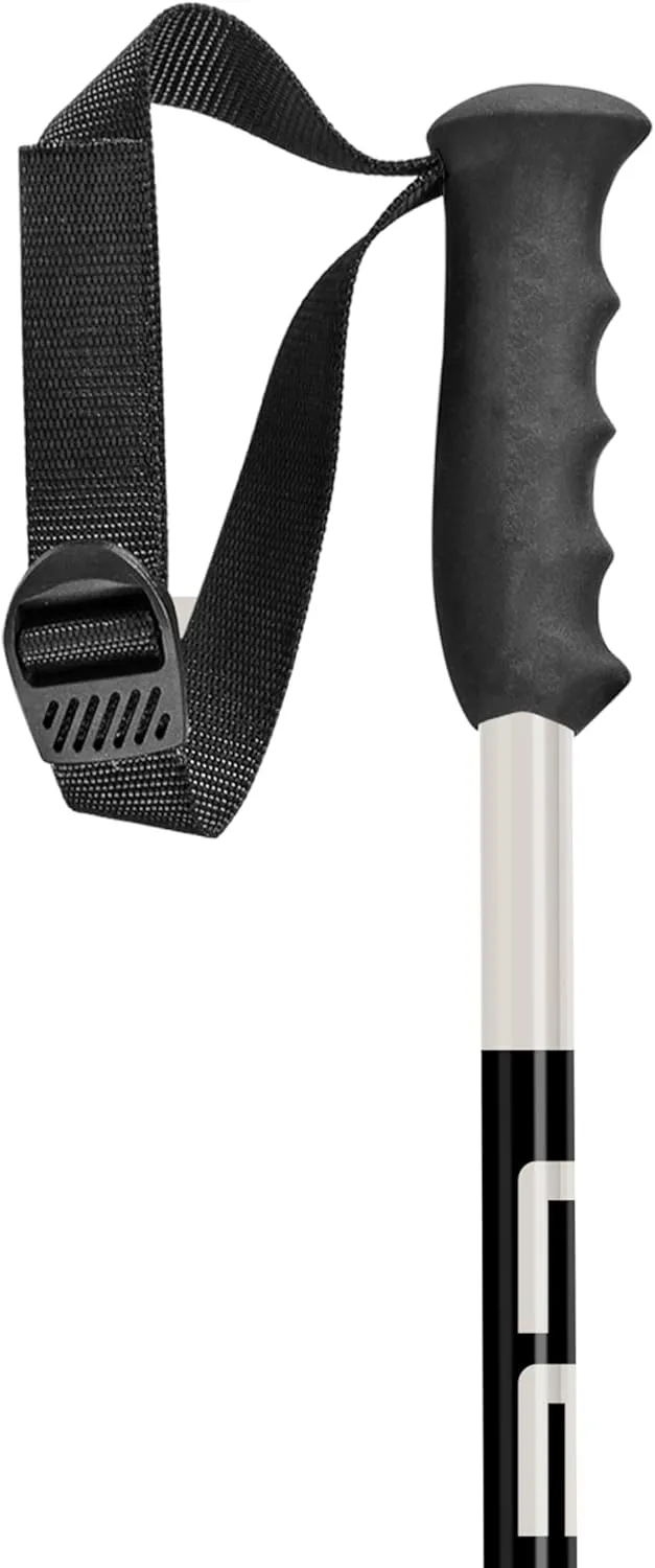 LEKI SWTCH Pow Lightweight Aluminum Ski Poles for Downhill Skiing