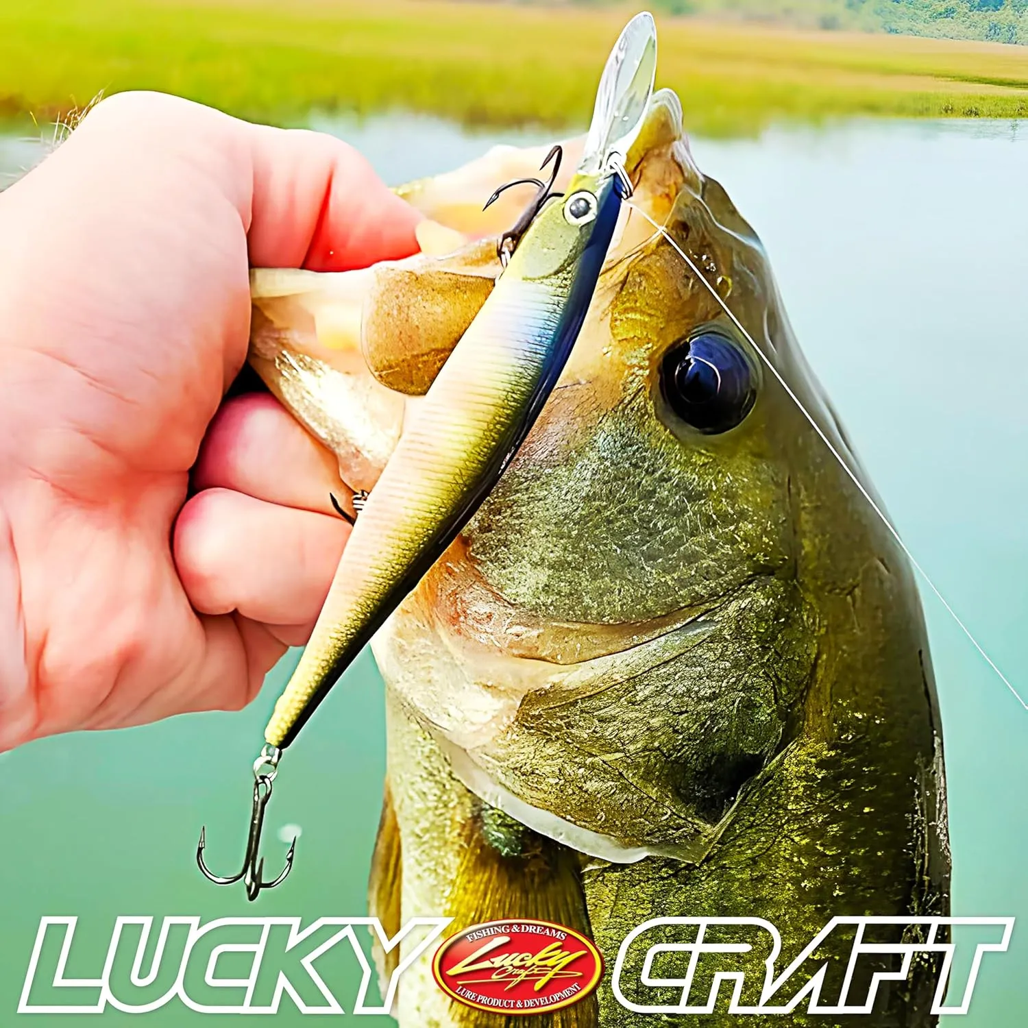 LUCKY CRAFT Pointer 100DD Fishing Lures for Freshwater, 4" Deep Diving and Suspending Jerkbait, Trout, Bass Lures, Tournament Winning, Premium Fishing Gear and Tackle Box Accessories