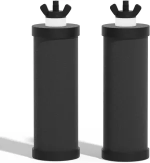 Purewell PF-3-FL Black 4-Stage Composite Carbon and Fluoride Reduction Filters, Compatible with Berkey® Big , ProOne® Big  Gravity Water Filter Systems and Purewell Systems (2 Pack, K Series)