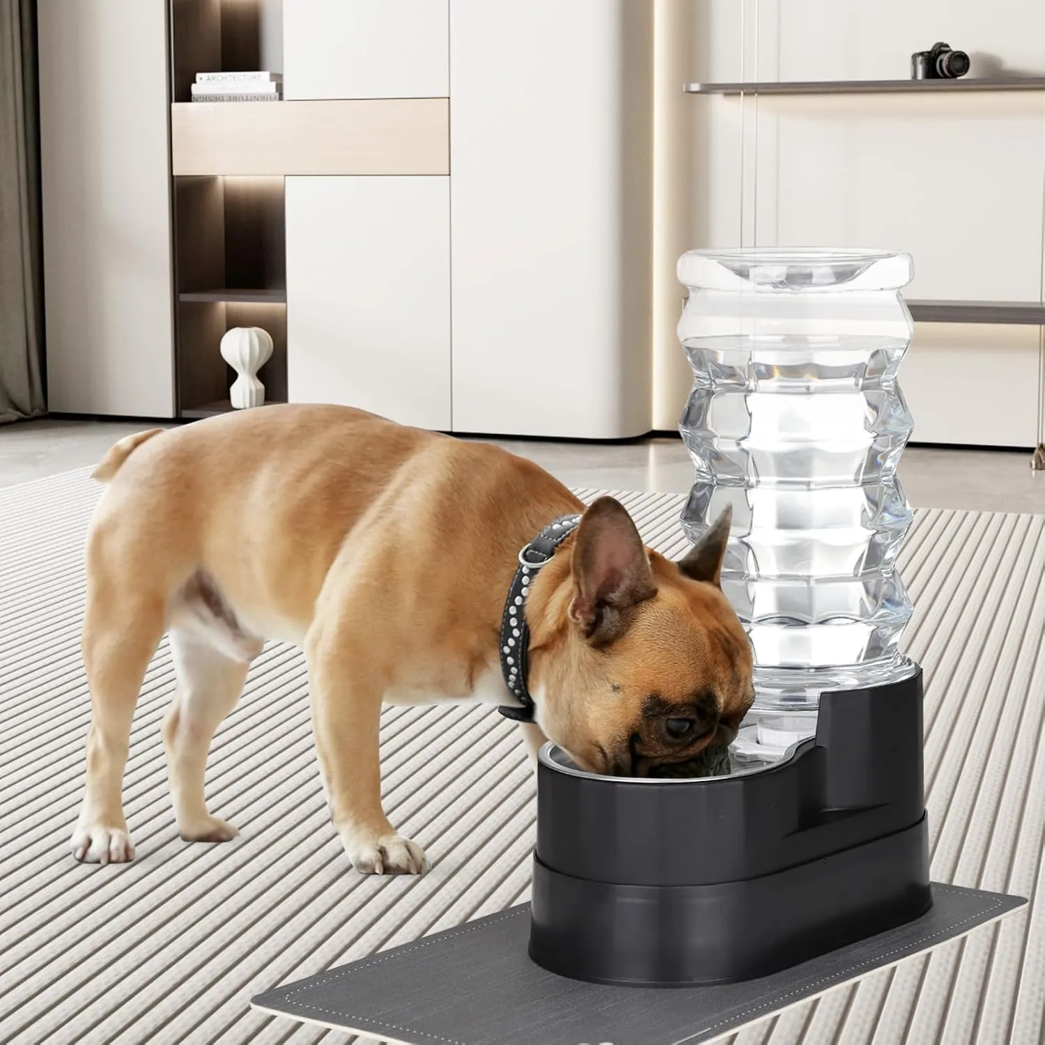 RIZZARI 8L Raised Automatic Pet Waterer, Gravity fed Stainless Steel Waterer, 100% BPA Free, Large Capacity Feeder for Cats and Medium to Large Dogs (Black,8L)