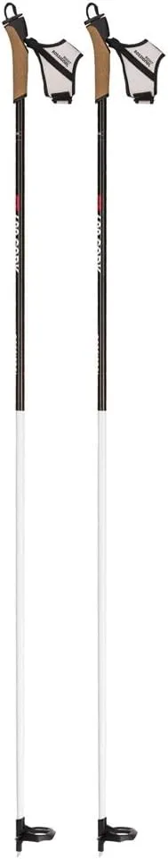 Rossignol Tactic Grey/Black Ski Poles, Men, Mens, RDI2010, Gray/Black