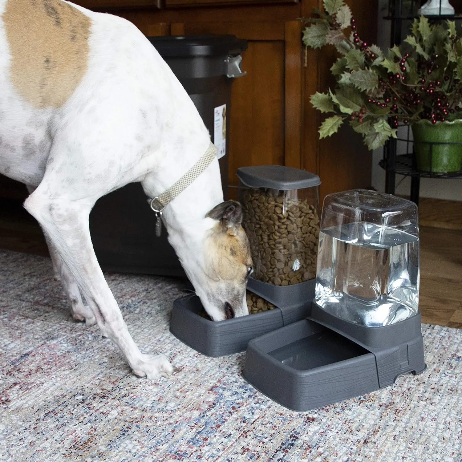 SportPet Gravity Feeder and Waterer, Large