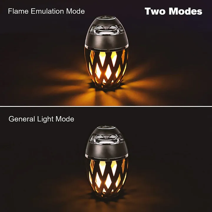 Waterproof Wireless LED Speakers